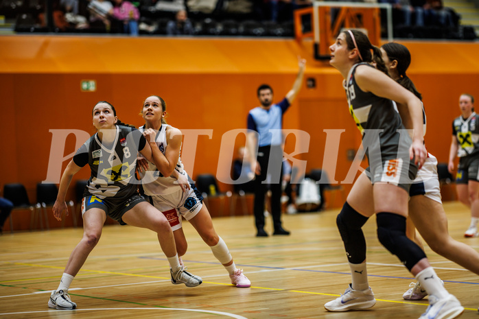 Basketball, Win2Day Basketball Damen Superliga 2024/25, Grunddurchgang 9.Runde, Vienna Timberwolves, Klosterneuburg Duchess, Liz Irthum (8), Johanna Mölls (4)