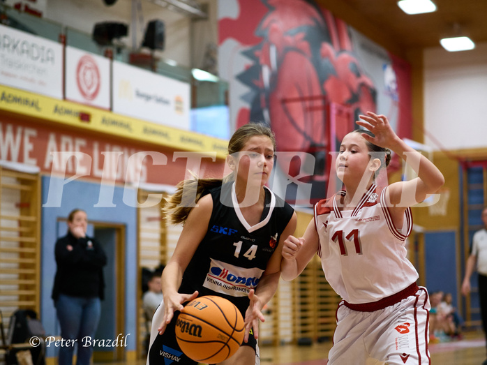 Basketball Superliga 2024/25, SLWU14 Traiskirchen Lionesses vs. DBK Steyrer Witches


