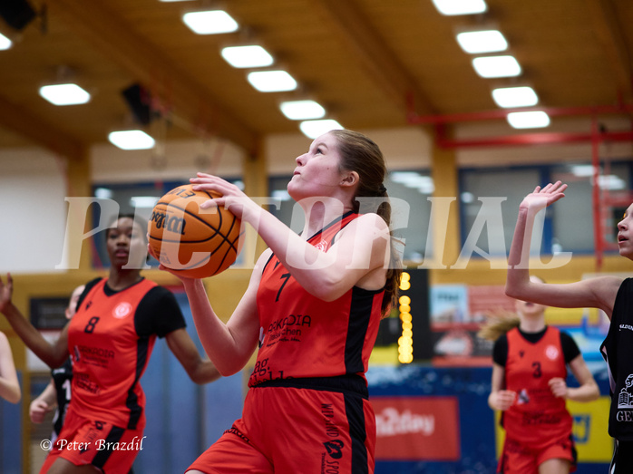Basketball Superliga 2024/25, SLWU16 Traiskirchen Lionesses vs. BBC Nord Dragons


