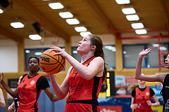 Basketball Superliga 2024/25, SLWU16 Traiskirchen Lionesses vs. BBC Nord Dragons


