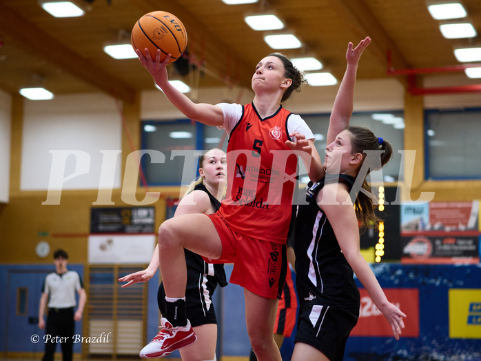 Basketball Superliga 2024/25, SLWU16 Traiskirchen Lionesses vs. BBC Nord Dragons


