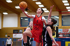 Basketball Superliga 2024/25, SLWU16 Traiskirchen Lionesses vs. BBC Nord Dragons



