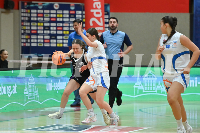 Basketball Superliga 2024/25, Grunddurchgang 9.Runde, DBB Wels vs Vienna United,

