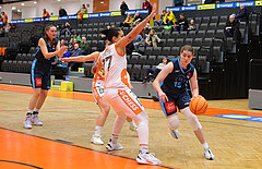 Basketball Austria Cup 2023/24, Viertelfinale BK Duchess Klosterneuburg vs. Vienna Timberwolves


