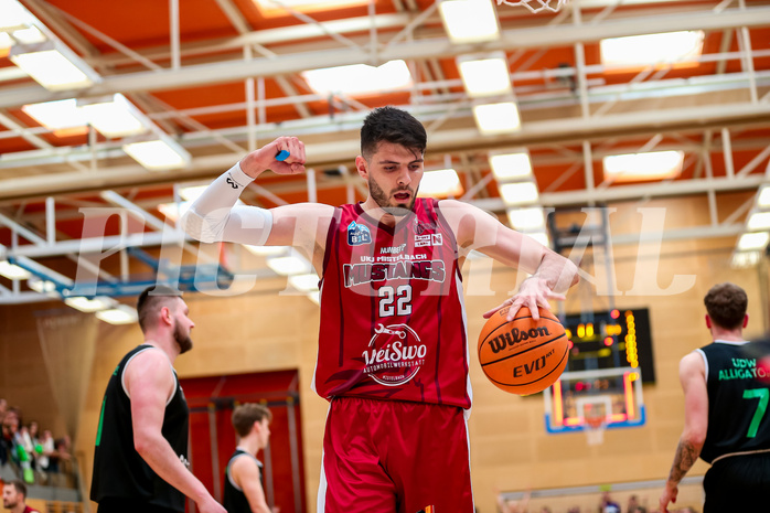 Basketball Zweite Liga 2023/24, Playoff, Finale Spiel 3 Mistelbach Mustangs vs. Union Deutsch Wagram


