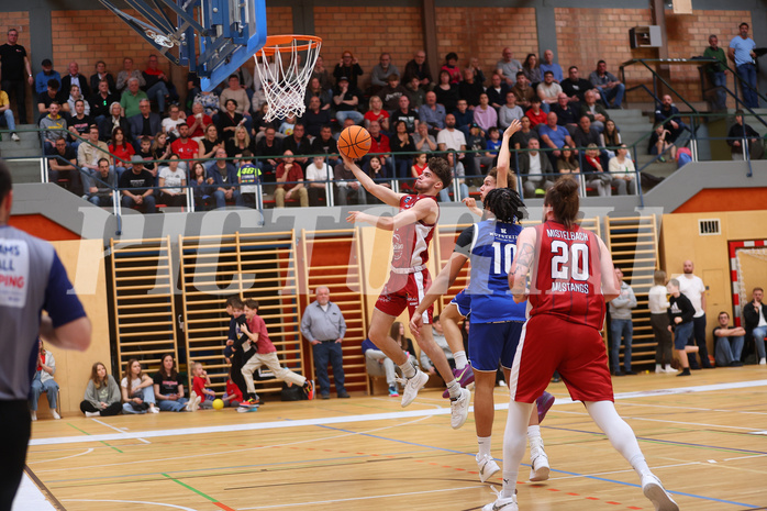 Basketball Zweite Liga 2024/25, Playoffs, Viertelfinale Spiel 1 Mistelbach Mustangs vs. Kufstein Towers


