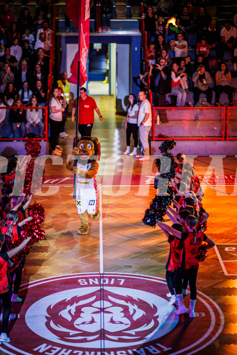 Basketball, Win2Day Superliga 2024/25, Grunddurchgang 4.Runde, Traiskirchen Lions, St. Pölten, 