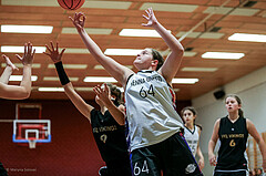 23.11.2024 Österreichischer Basketballverband 2024/25, SLWU14, Vienna United vs. VKL Vikings Swans

