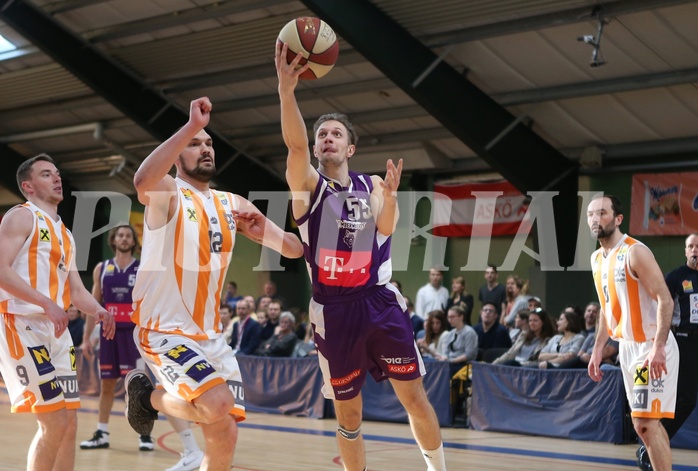 Basketball ABL 2018/19, Grunddurchgang 32.Runde D.C. Timberwolves vs. BK Dukes


