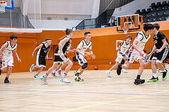 08.03.2025 Österreichischer Basketballverband 2024/25, SLMU14, SU Döbling vs. BBC Nord Dragonz