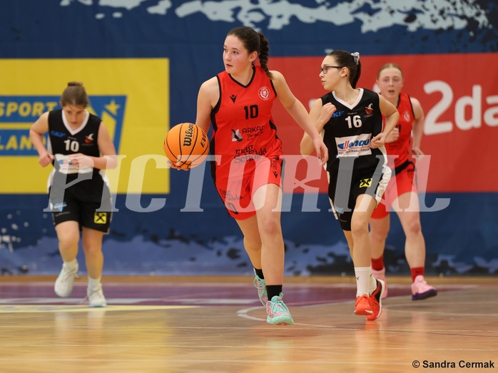 Basketball Superliga 2024/25, SLWU16 Traiskirchen Lionesses vs. DBK Steyrer Witch Cadets



