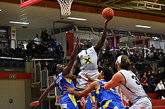Basketball Superliga 2021/22, Grunddurchgang 16. Runde Flyers Wels vs. SKN St. Pölten
