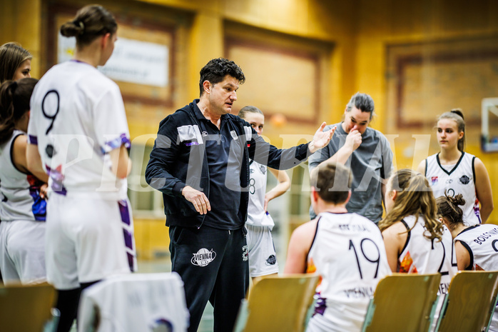 Basketball, Win2Day Basketball Damen Superliga 2023/24, Grunddurchgang 6.Runde, Vienna United, Vienna Timberwolves, Vedran Schuch (Head Coach)