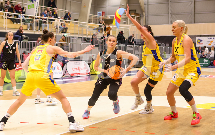 Basketball Damen Superliga 2023/24, Grunddurchgang 9.Runde SKN St. Pölten vs. Vienna United