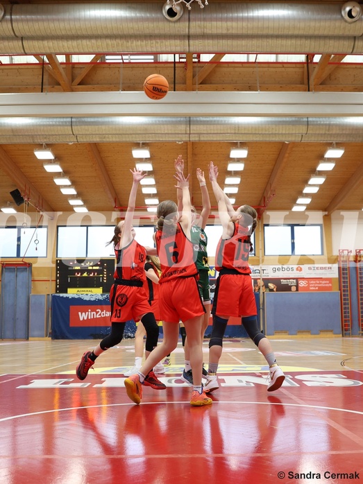Basketball Superliga 2024/25, SLWU14 Traiskirchen Lionesses vs. UBI Graz


