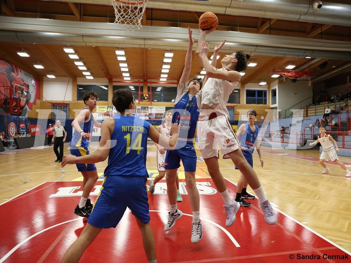 Basketball Superliga 2024/25, SLMU16 Traiskirchen Lions vs. St. Pölten


