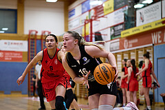 Basketball Superliga 2024/25, SLWU16 Traiskirchen Lionesses vs. BBC Nord Dragons


