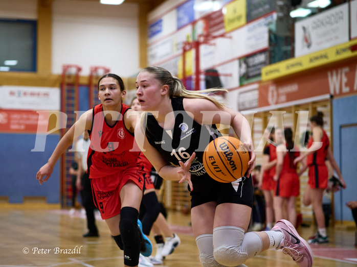 Basketball Superliga 2024/25, SLWU16 Traiskirchen Lionesses vs. BBC Nord Dragons


