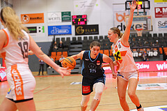 Basketball Austria Cup 2023/24, Viertelfinale BK Duchess Klosterneuburg vs. Vienna Timberwolves


