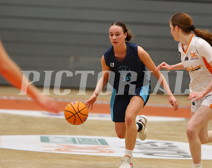 Basketball Superliga SLMU19 Basket Duchess vs. Vienna Timberwolves


