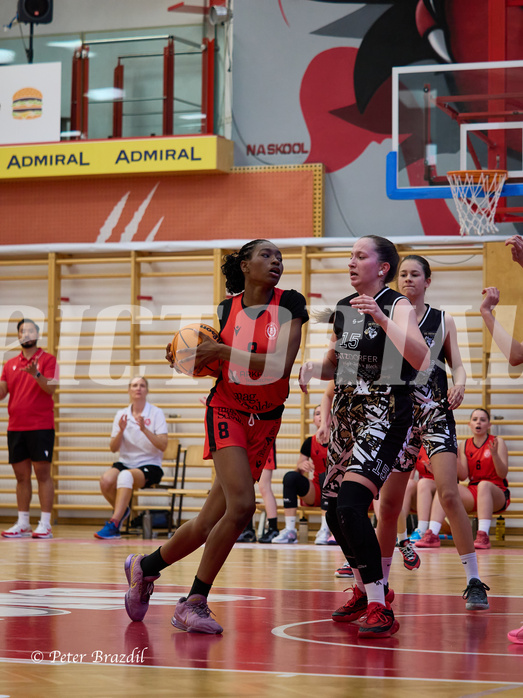 Basketball Superliga 2024/25, SLMU16 Traiskirchen Lionesses vs. VKL Vikings Kammer