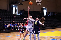 04.02.2024, Graz, Raiffeisen Sportpark, Basketball Damen Superliga 2023/24, Grunddurchgang 11.Runde, UBSC-DBBC Graz - SKN St. Pölten Frauen ,  