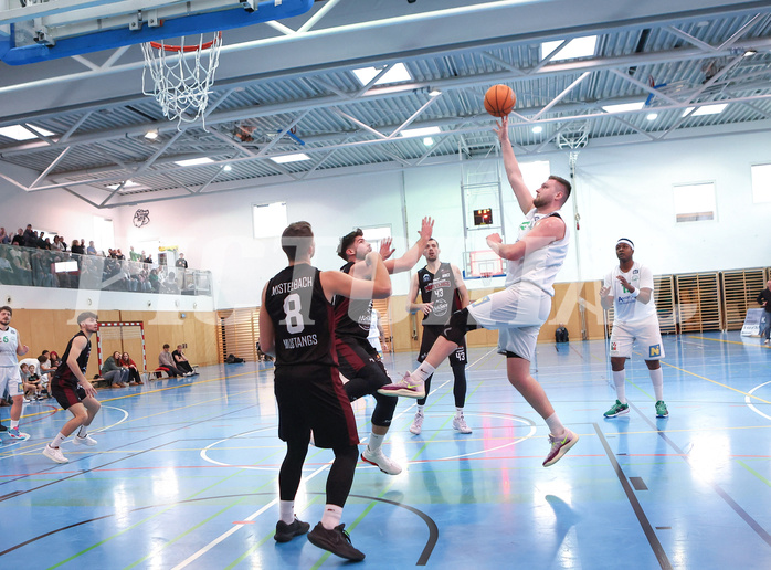 Basketball Zweite Liga 2024/25, Grunddurchgang 19.Runde Union Deutsch Wagram Aligators vs. Mistelbach Mustangs


