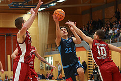 Basketball Zweite Liga 2024/25, Grunddurchgang 15.Runde Mistelbach Mustangs vs. Vienna Timberwolves


