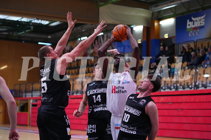Basketball 2. Liga 2024/25, Grunddurchgang 18.Runde , Future Team Steiermark vs. Güssing


