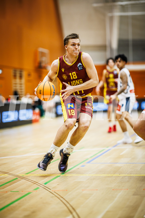 Basketball, Basketball Zweite Liga 2024/25, Grunddurchgang 20.Runde, Vienna Timberwolves, Traiskirchen Lions NexGen, Jakob Leitner (18)