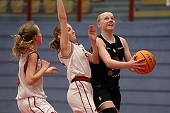 Basketball Superliga 2024/25, SLWU14 Traiskirchen Lionesses vs. ATUS Gratkorn Scorpions


