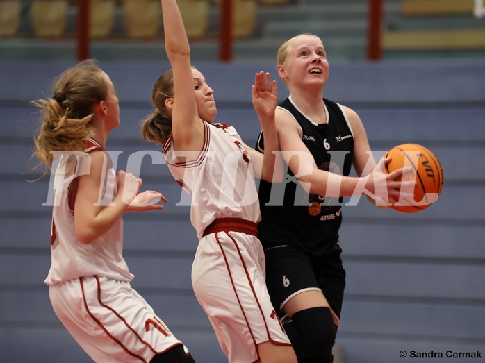Basketball Superliga 2024/25, SLWU14 Traiskirchen Lionesses vs. ATUS Gratkorn Scorpions


