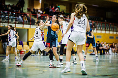 Basketball, Win2Day Basketball Damen Superliga 2023/24, Grunddurchgang 6.Runde, Vienna United, Vienna Timberwolves, Lilian Schwarzenecker (12)