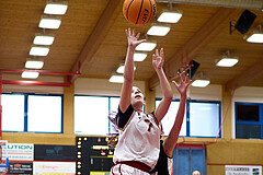 Basketball Superliga 2024/25, SLWU14 Traiskirchen Lionesses vs. DBK Steyrer Witches


