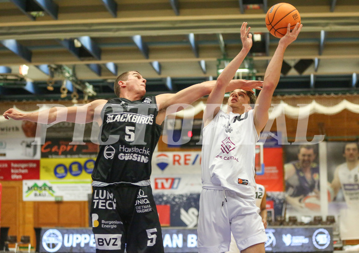 Basketball Zweite Liga 2024/25, Grunddurchgang 22.Runde Upper Austrian Ballers vs. Güssing Blackbirds


