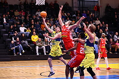 08.12.2024, Graz, Raiffeisen Sportpark Graz, Basketball Superliga 2024/25, Grunddurchgang, Runde 11, UBSC Raiffeisen Graz - Arkadia Traiskirchen Lions