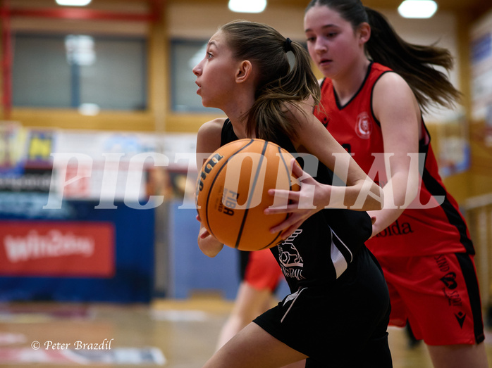 Basketball Superliga 2024/25, SLWU16 Traiskirchen Lionesses vs. BBC Nord Dragons


