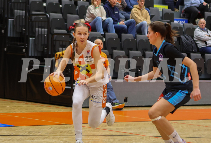 Basketball Damen Supercup 2024/25, 4.Runde BK Duchess Klosterneuburg vs. Vienna Timberwolves



