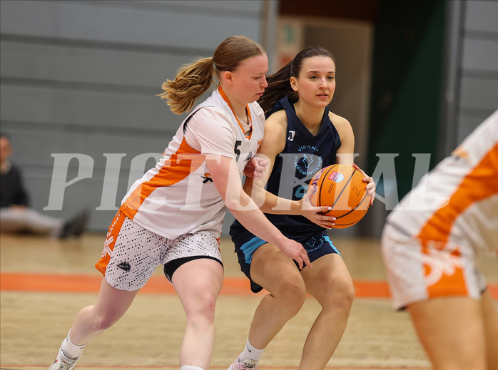 Basketball Superliga SLMU19 Basket Duchess vs. Vienna Timberwolves


