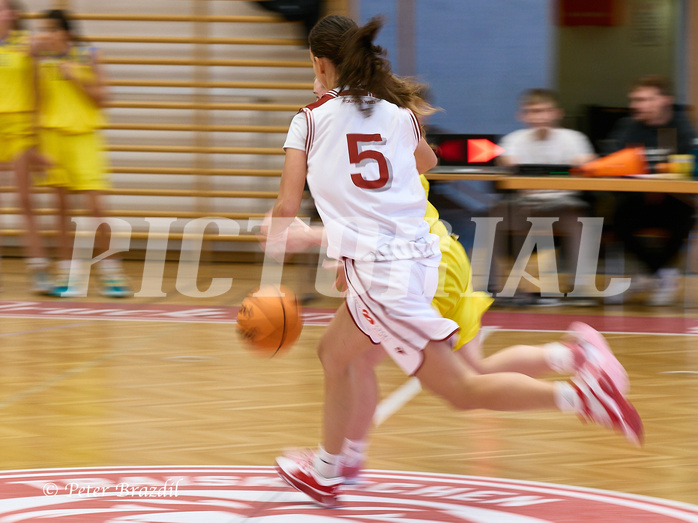 Basketball Superliga 2024/25, SLWU16 Traiskirchen Lionesses vs. UBBC Herzogenburg


