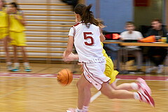 Basketball Superliga 2024/25, SLWU16 Traiskirchen Lionesses vs. UBBC Herzogenburg


