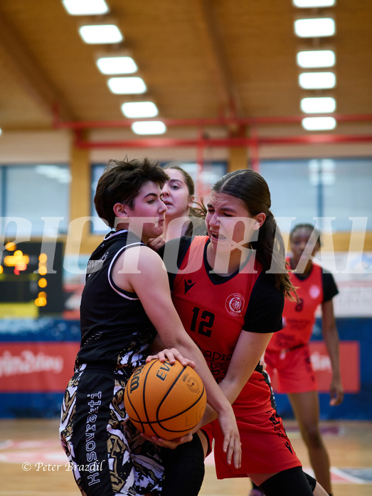 Basketball Superliga 2024/25, SLMU16 Traiskirchen Lionesses vs. VKL Vikings Kammer



