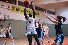 13.11.2022, Unionhalle A, Damen Austria Basketball Cup 2022/23, Viertelfinale,  
UBI Holding Graz vs. Vienna Timberwolves,  