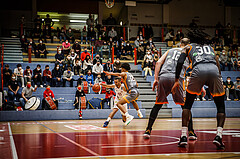 Basketball, bet-at-home Basketball Superliga 2021/22, Grunddurchgang18.Runde, Traiskirchen Lions, Klosterneuburg Dukes, Oscar Schmit (55)