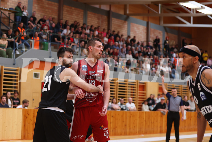 Basketball Zweite Liga 2024/25, Playoffs, Finale Spiel 1 Mistelbach Mustangs vs. Wörthersee Piraten


