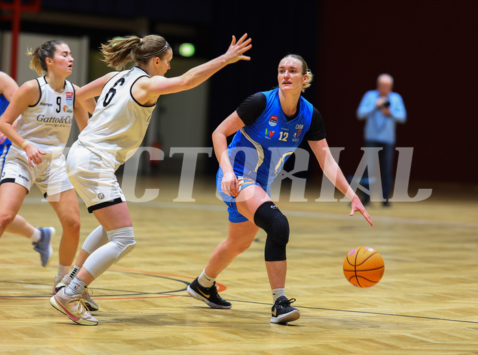 Basketball Damen Superliga 2023/24, Grunddurchgang 11.Runde Basket Flames vs. DBB wels


