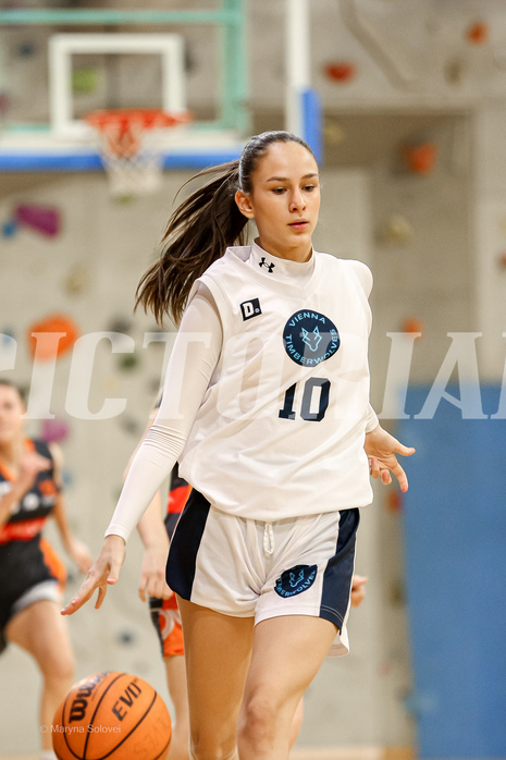 23.02.2025 Österreichischer Basketballverband 2024/25, SLWU16 Vienna Timberwolves vs. Basket Duchess