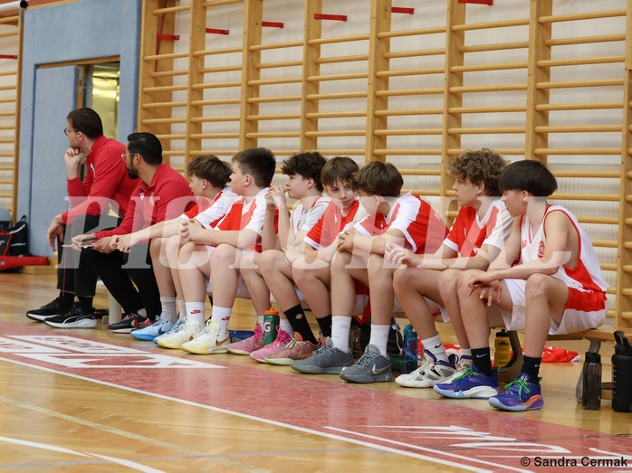 Basketball Superliga 2024/25, SLMU14 Traiskirchen Lions Academy vs. UBSC Juniors


