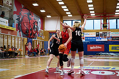 Basketball Superliga 2024/25, SLWU16 Traiskirchen Lionesses vs. BBC Nord Dragons


