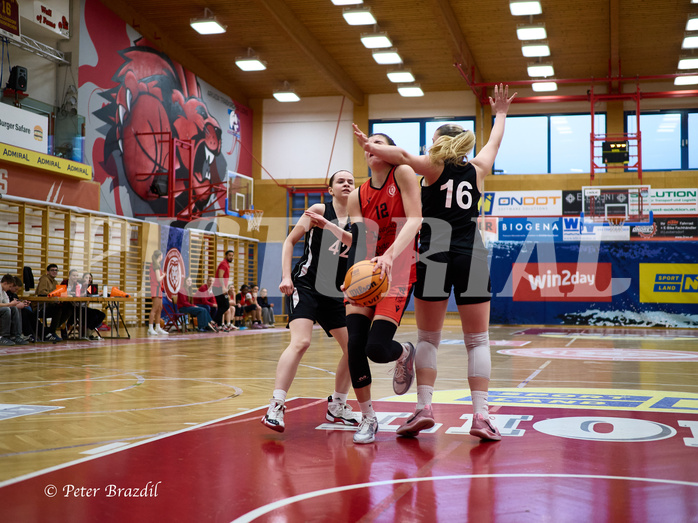 Basketball Superliga 2024/25, SLWU16 Traiskirchen Lionesses vs. BBC Nord Dragons


